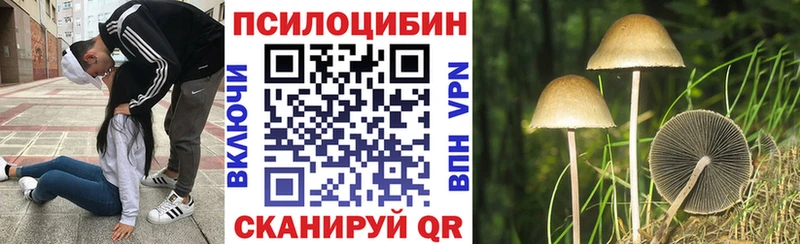 Галлюциногенные грибы MAGIC MUSHROOMS  наркотики  Усть-Джегута 